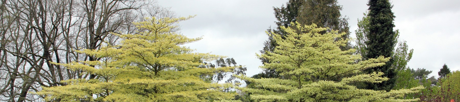 Societé d'Horticulture de la Gironde