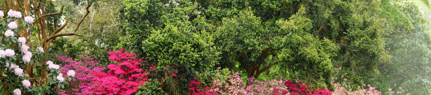 Societé d'Horticulture de la Gironde