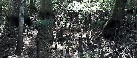 20180922_15403511