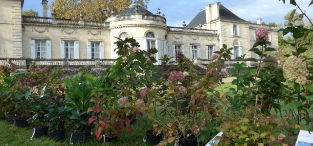 P1060265